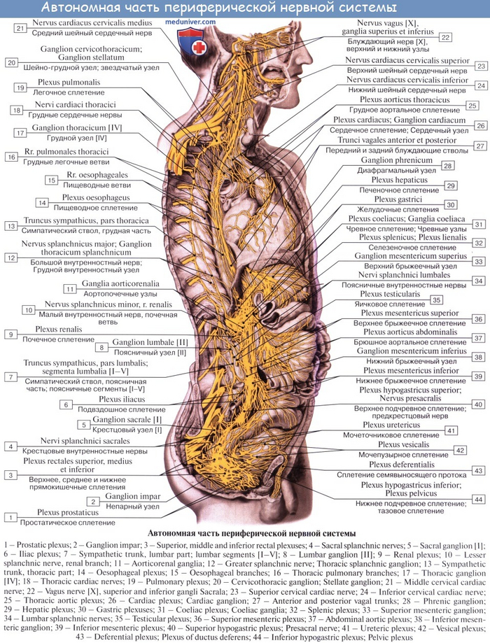 "����������" ������� ������� �� ������� ����� �����������