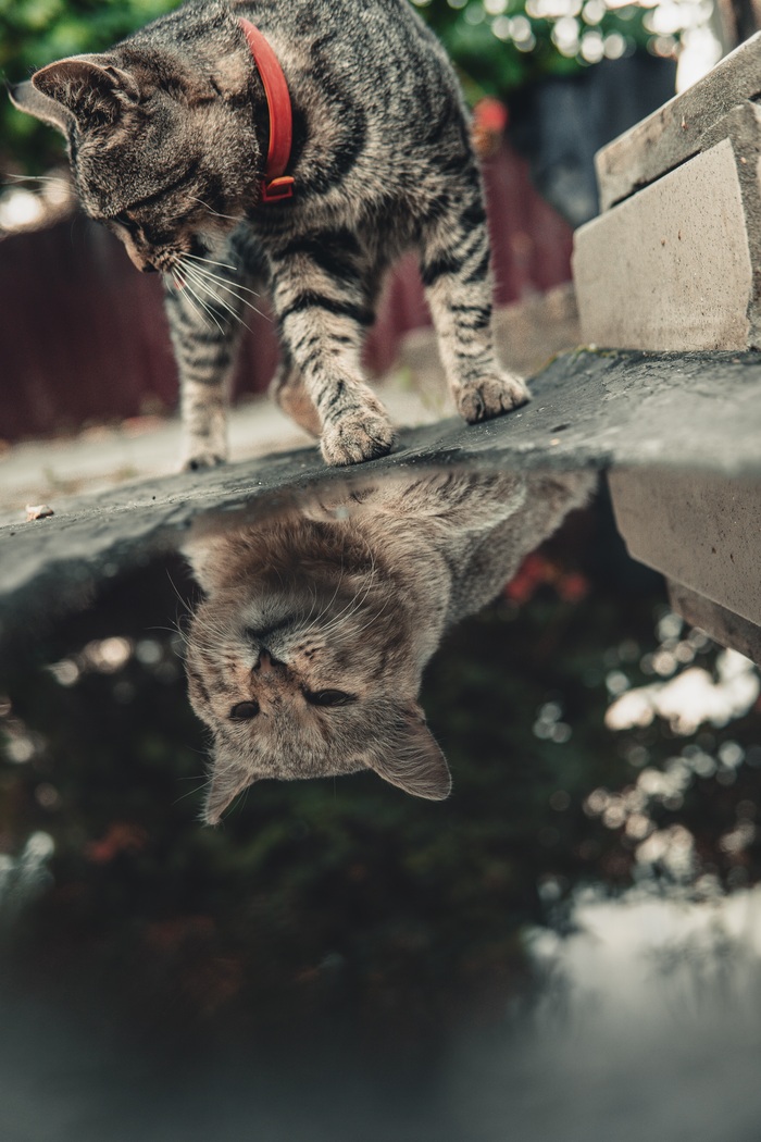 ��� � ����