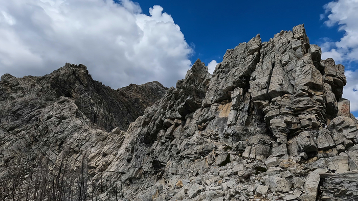 ������ ���� Crandell ���������.