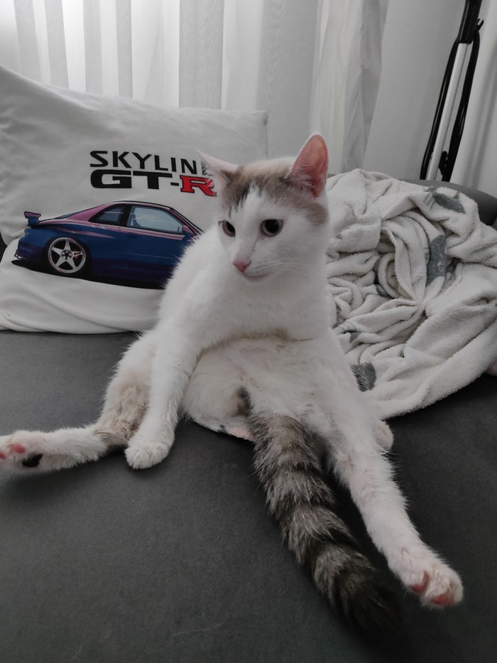     ... , , , , ,  ,  ,  