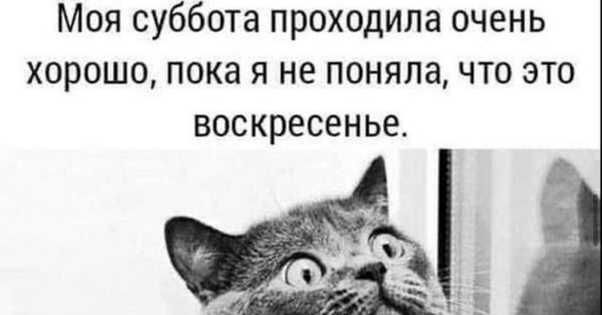 Разочарование | Пикабу