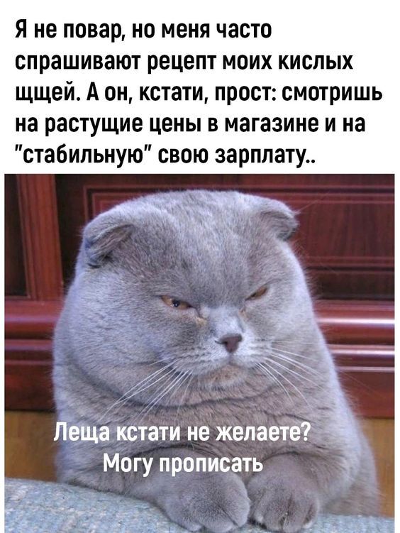 ��� ������� ������ ��