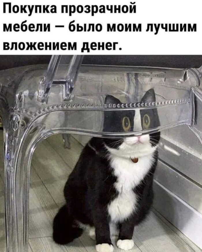   ,   , , , 