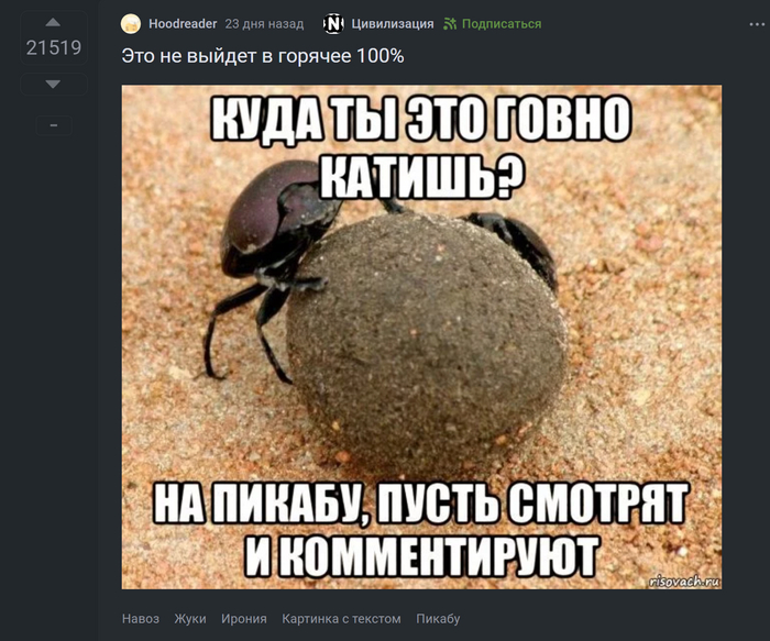        , ,   ,   