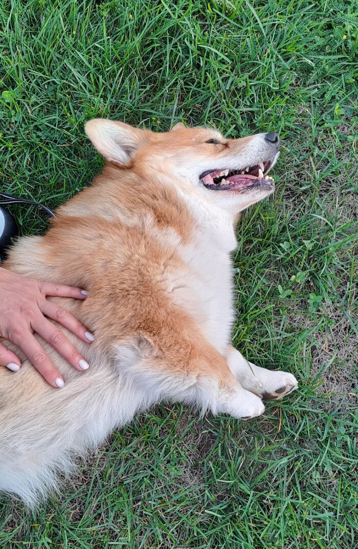 ����� �� ������