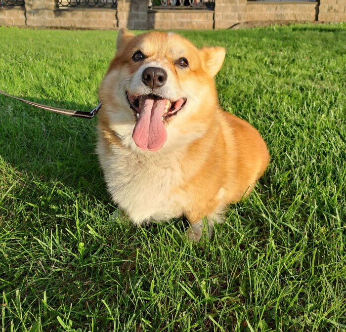 ������� + ����