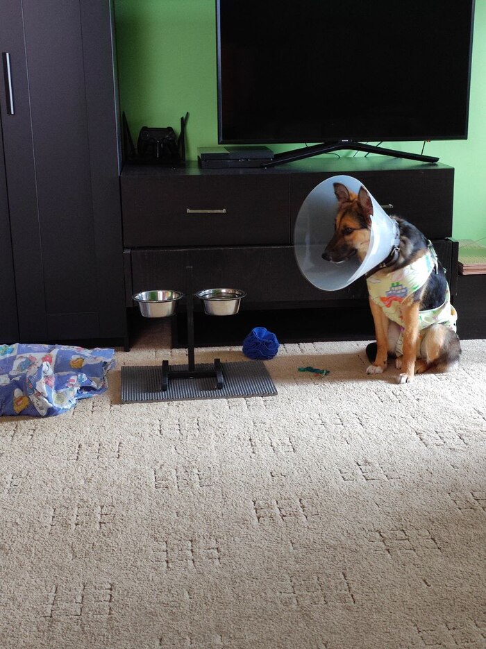 ����������� ����, �� ��� �� ���������.