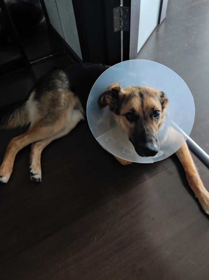 ����� ��� ���� ��� �� �� ����� ���� ���� ��� ��� ����.