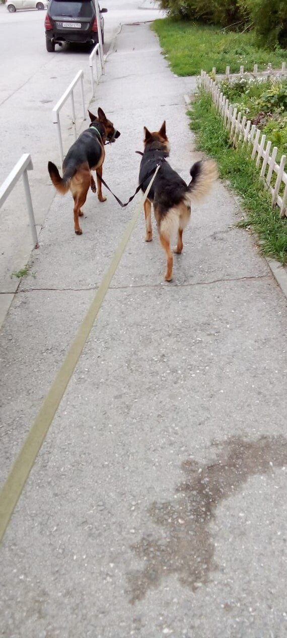 � ��� � �� ������� ��� ����� ����� �� 3 �� ������.