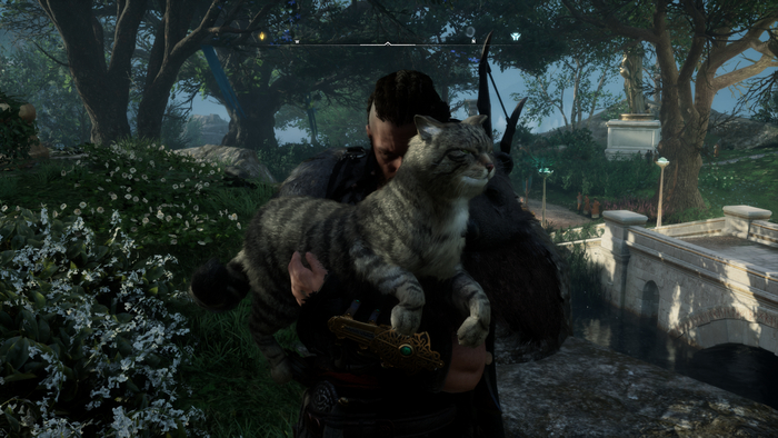 Assassin's Creed Valhalla