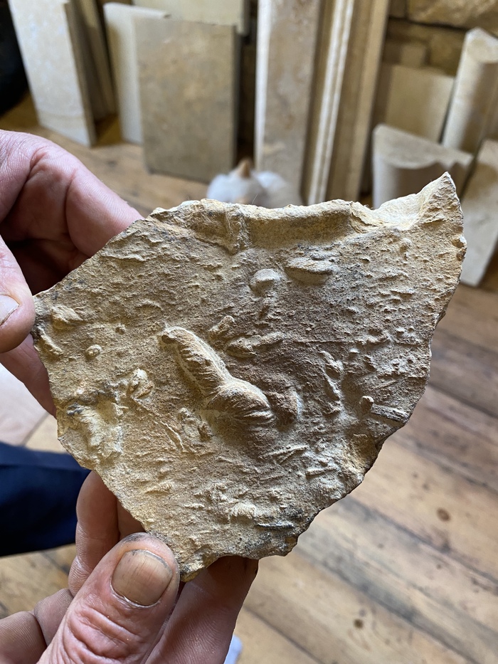 ��� ���� ������� ������