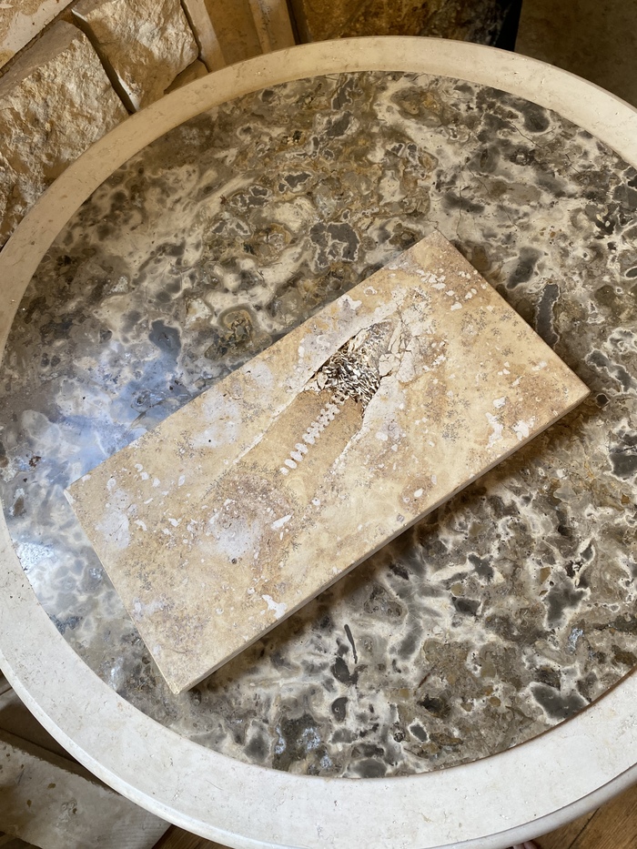 ��� ����, ������� ��� ������, ���� ����� �������)