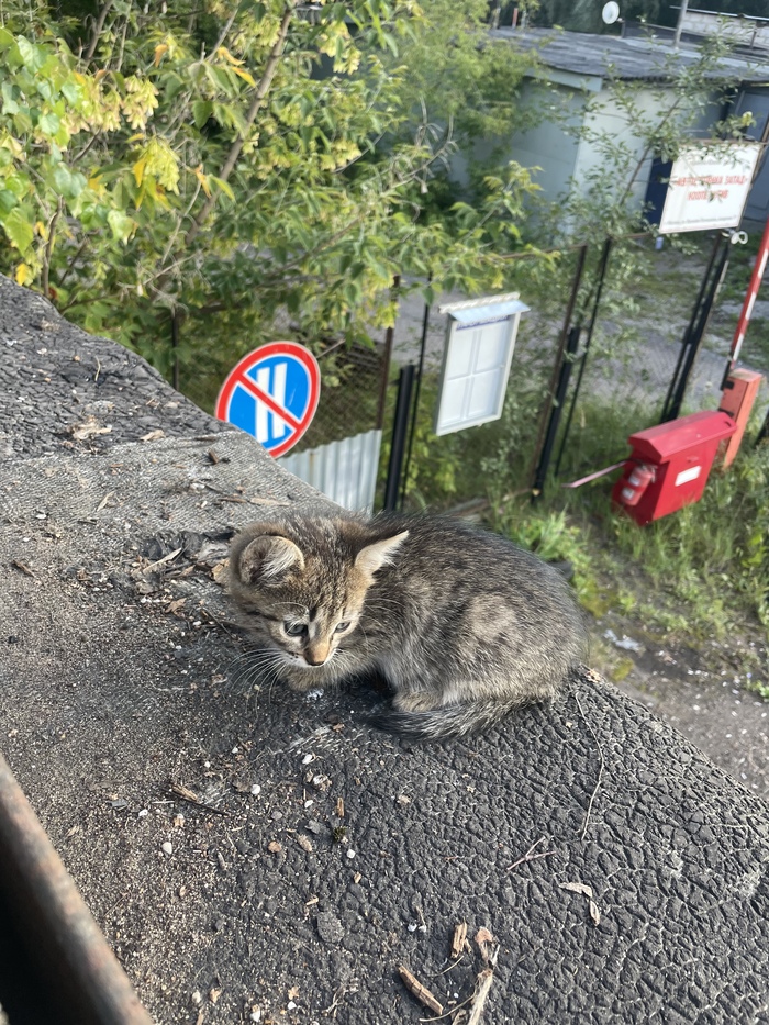 �������