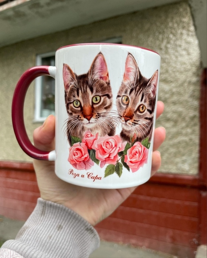 Милые кружечки с котиками приюта | Пикабу