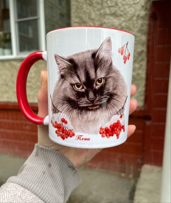 Милые кружечки с котиками приюта | Пикабу