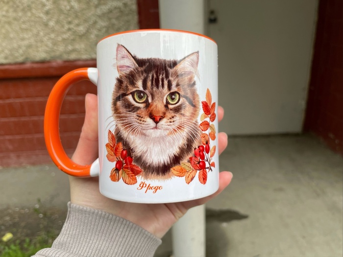 Милые кружечки с котиками приюта | Пикабу