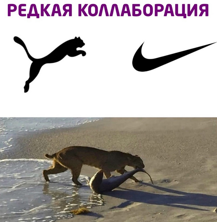   ,   , Nike, , 