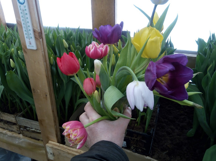 Брак, но тоже ничего:)