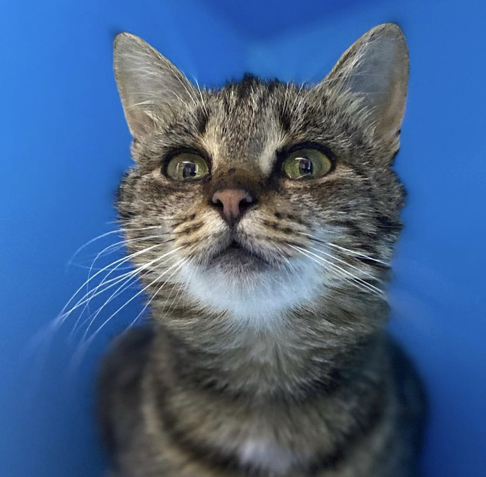 Франческа. Как назвать тех кто выкидывает своих животных?