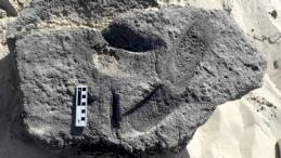 В Африке нашли отпечатки обутых человеческих ног возрастом 100 000 лет Археология, Древние люди, Наука, Раскопки