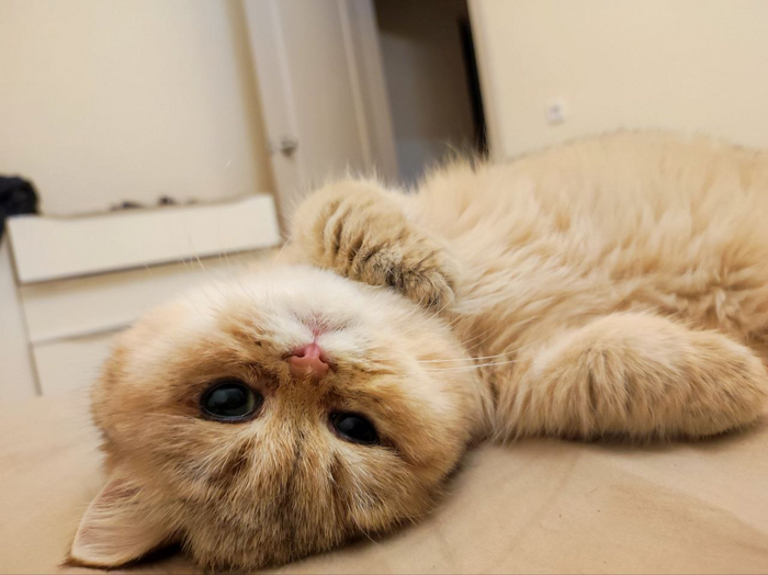 15 �������� ��� ����� ������