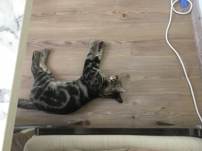 ��������. ��� ���������� � �������� � ��������. (��� �����������))) ��.������ � ��������.