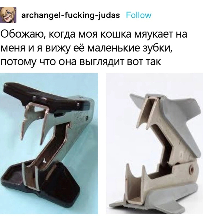  , , Tumblr, , , 