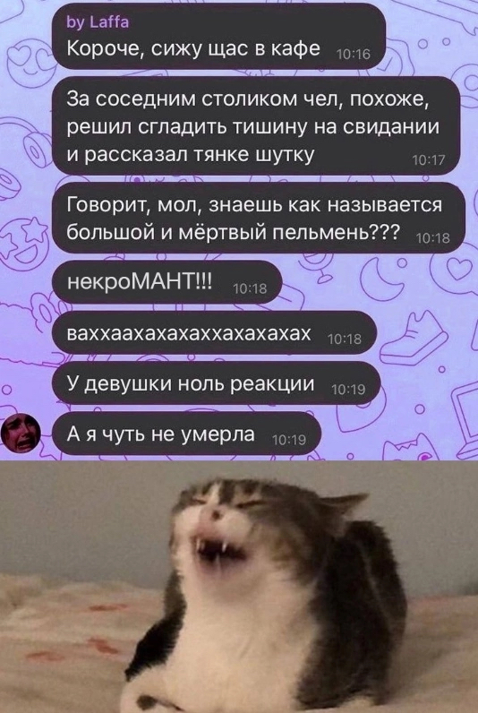 Шутка дня | Пикабу