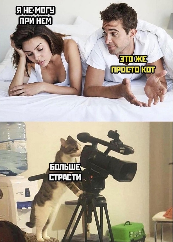   ,   ,   