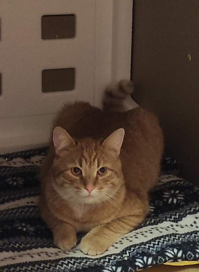 Одинцовский район.