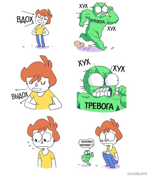     ! , , -, Shencomix