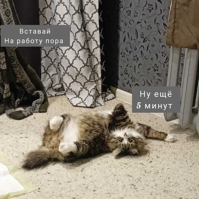         , ,   