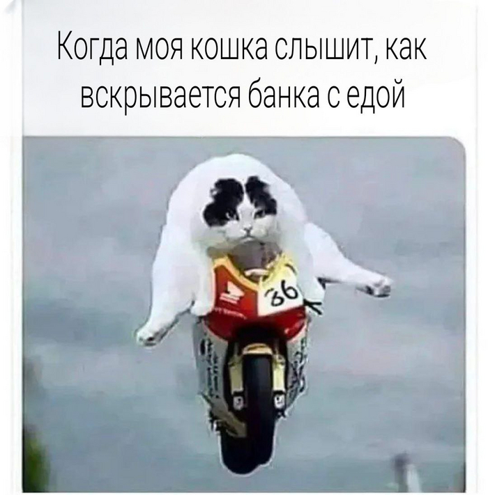    , ,   , ,  , 