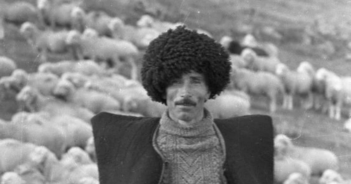 Пастух | Пикабу