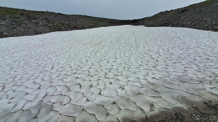 И его здесь достаточно много.