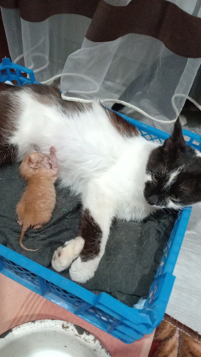 ���� ���������� ������...� ���� ������ ���� �� ��������...