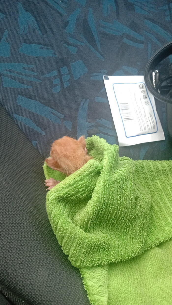 28.06.2023 �� ��� ������ ����� � � ���� ���� � ������,������� ����� ��������� �� �������� ������...