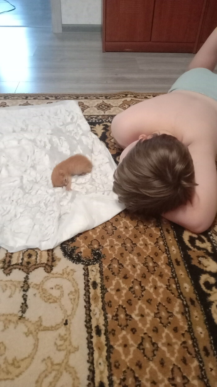 ��� ���� ��� 2,5 ������,������ �������� ���� ��������� ����� �������...