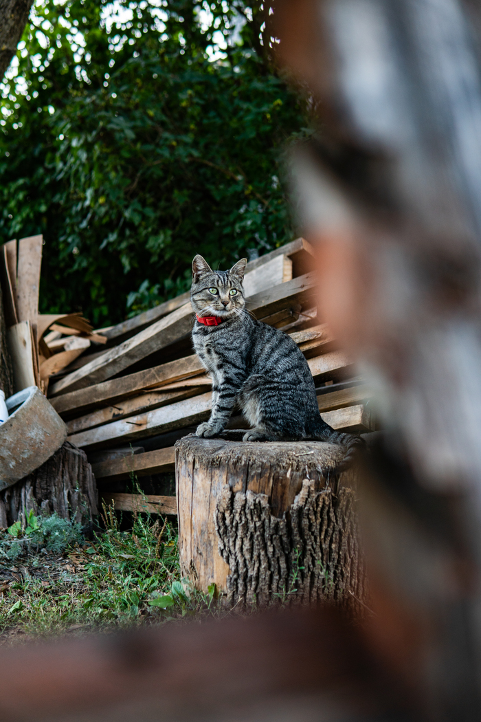 ��� � ���� ������...