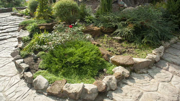 ��������������� ����� "���������" � ������� ������� �� ��������� � ������� ���������� | ART BERENDEE