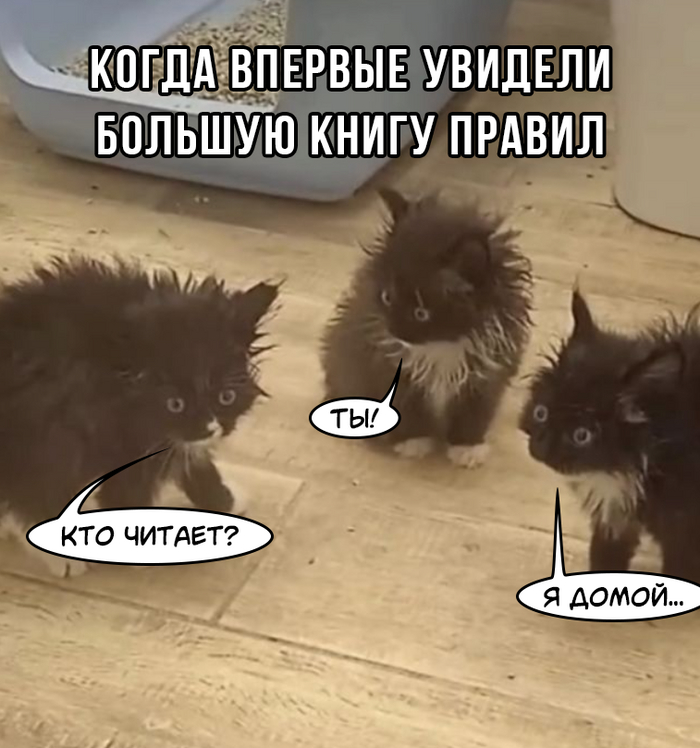  -   ,   , , 
