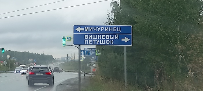 �� �������?