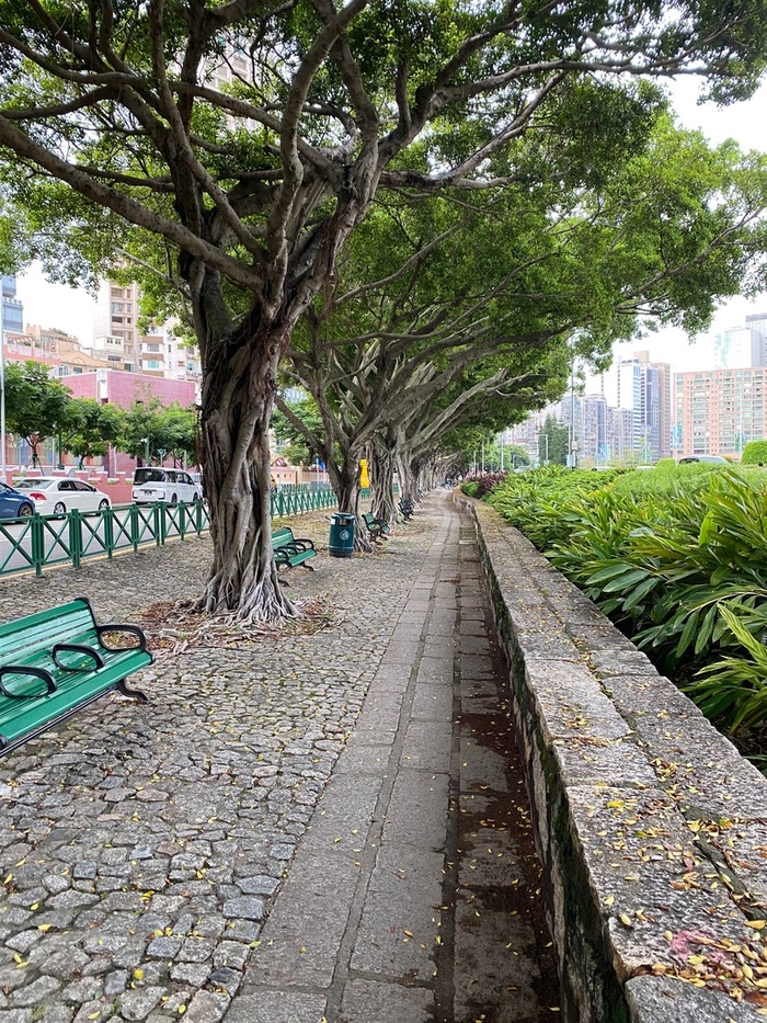 9) Просто набережная на которой нас накрыло дождем за 3 минуты до этого фото. Красивишно