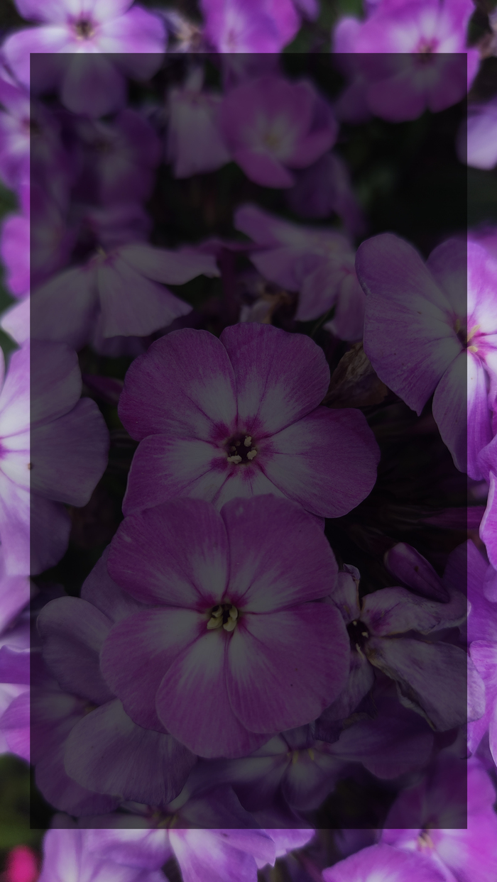 Слои и прозрачность. Вопрос Photoshop, Вопрос