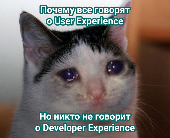 Developer Experience     
