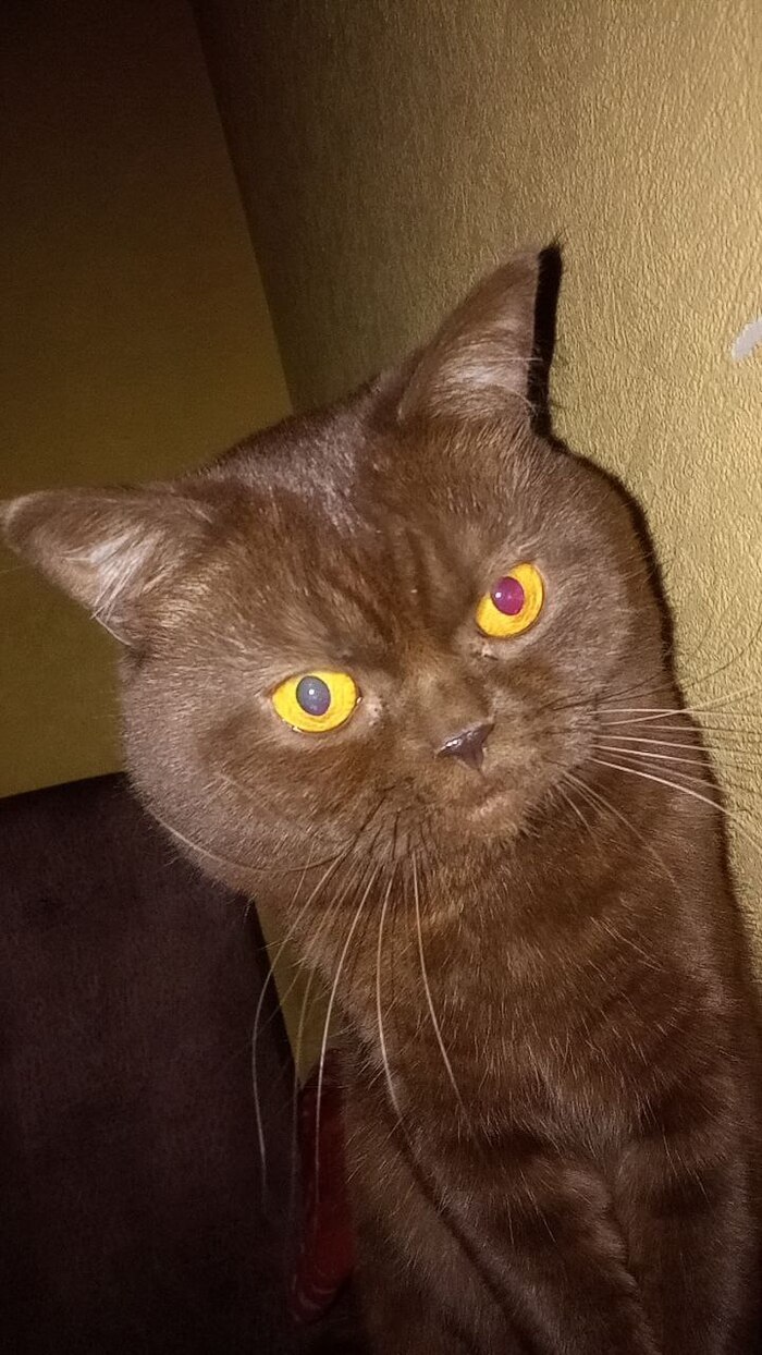  ! , , , ,  ,  