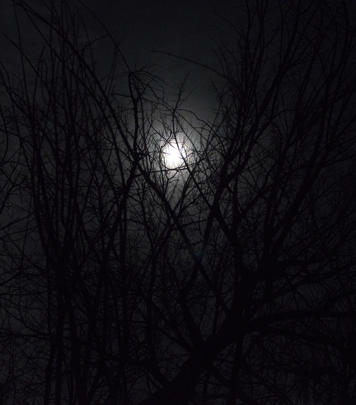 Луна завораживает.