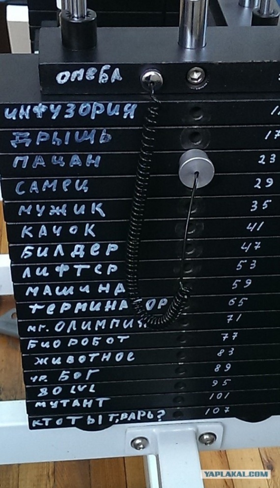 Кто ты, Тварь? | Пикабу