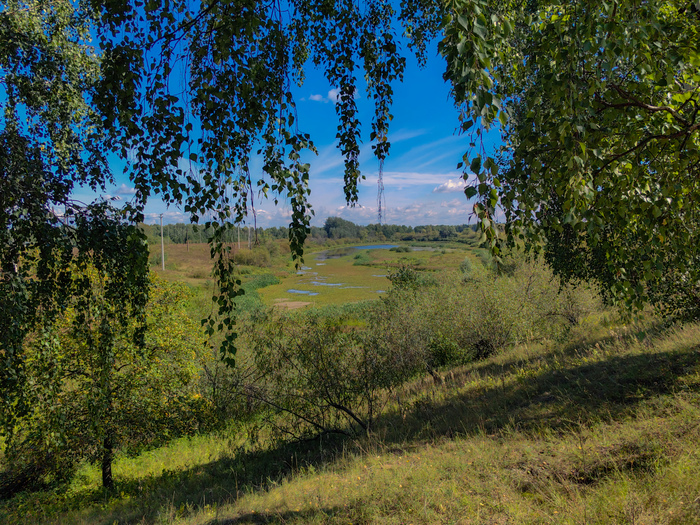 Велосипедное Велосипед, Велопрогулка, Природа, Заброшенное, Дзержинск, Река Ока, Лес, Видео, Вертикальное видео, Длиннопост