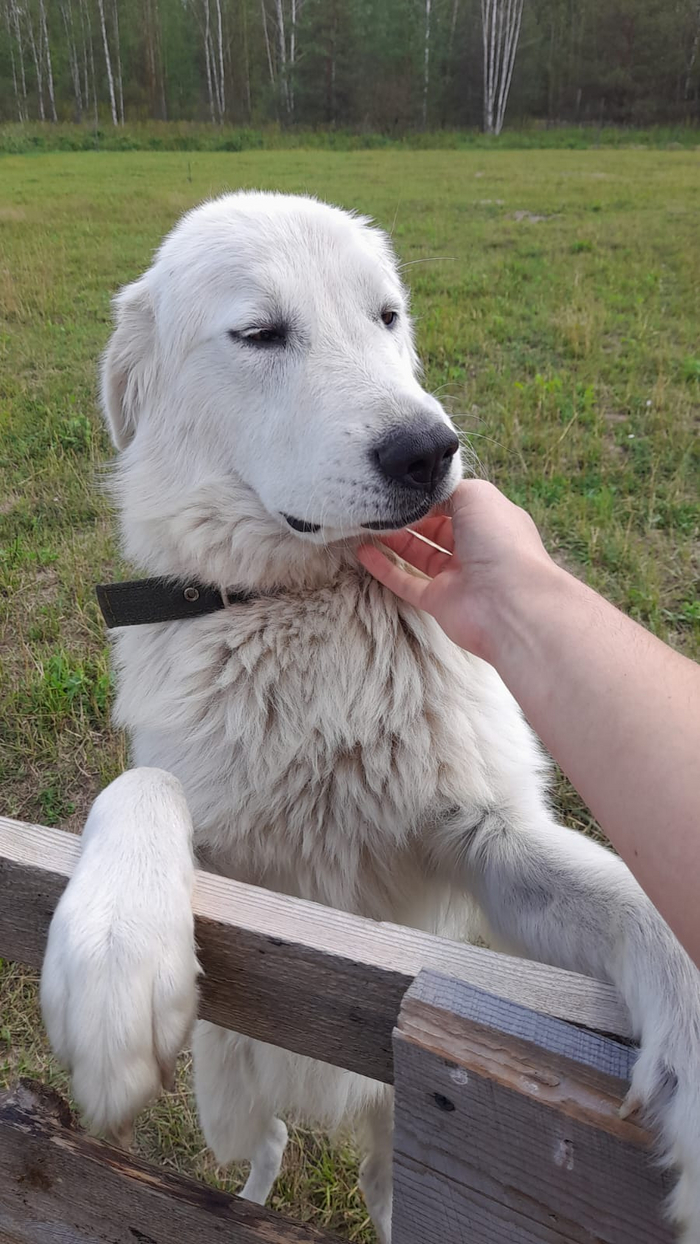 Героиня сегодняшнего дня)